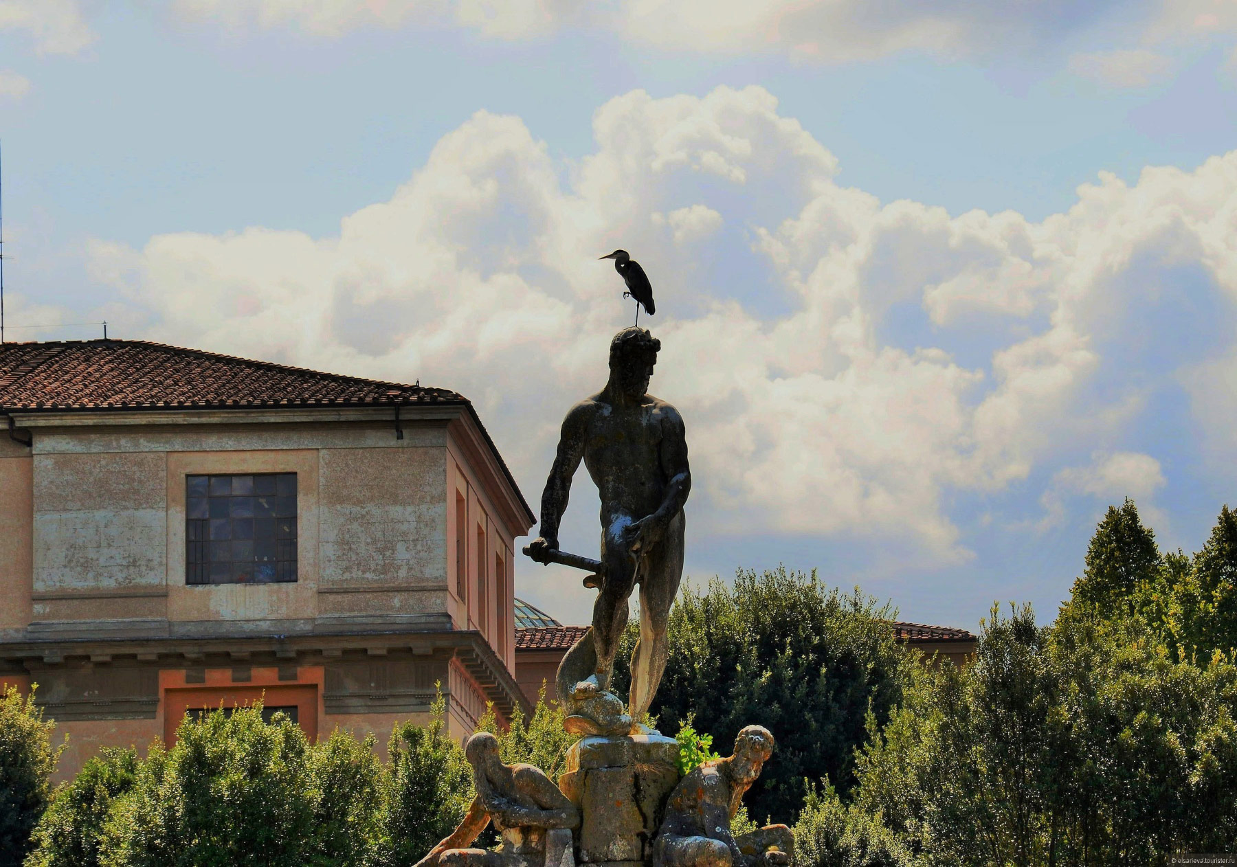 Firenze